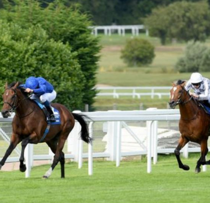 ApexAlgorithms's tweet image. Ghaiyyath has been named horse of the year at the Cartier Awards after winning three Group One races in 2020.