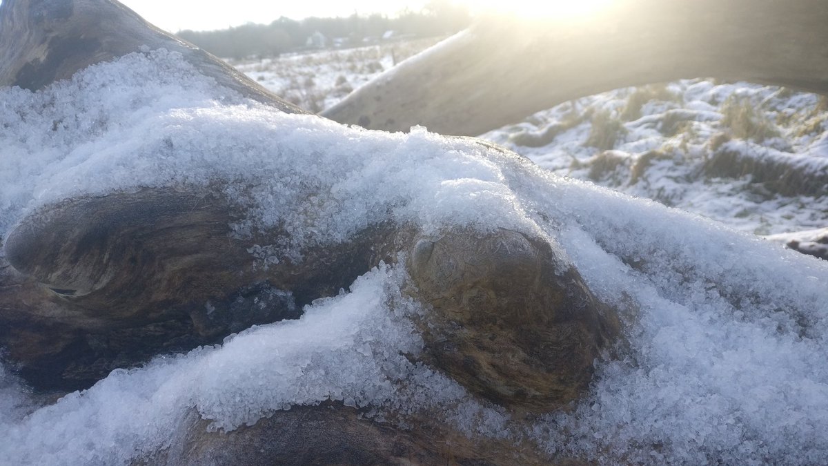 jennycapondraws's tweet photo. Photographing frozen things seems to be even more addictive than photographing not frozen things. It is possible my family are going to disown me on a frozen hill this week. This is Cramond. I have more❄️ #texturehuntergather #refocus #butnottoomuch #mentalheath https://t.co/KjZ5RjWTxP