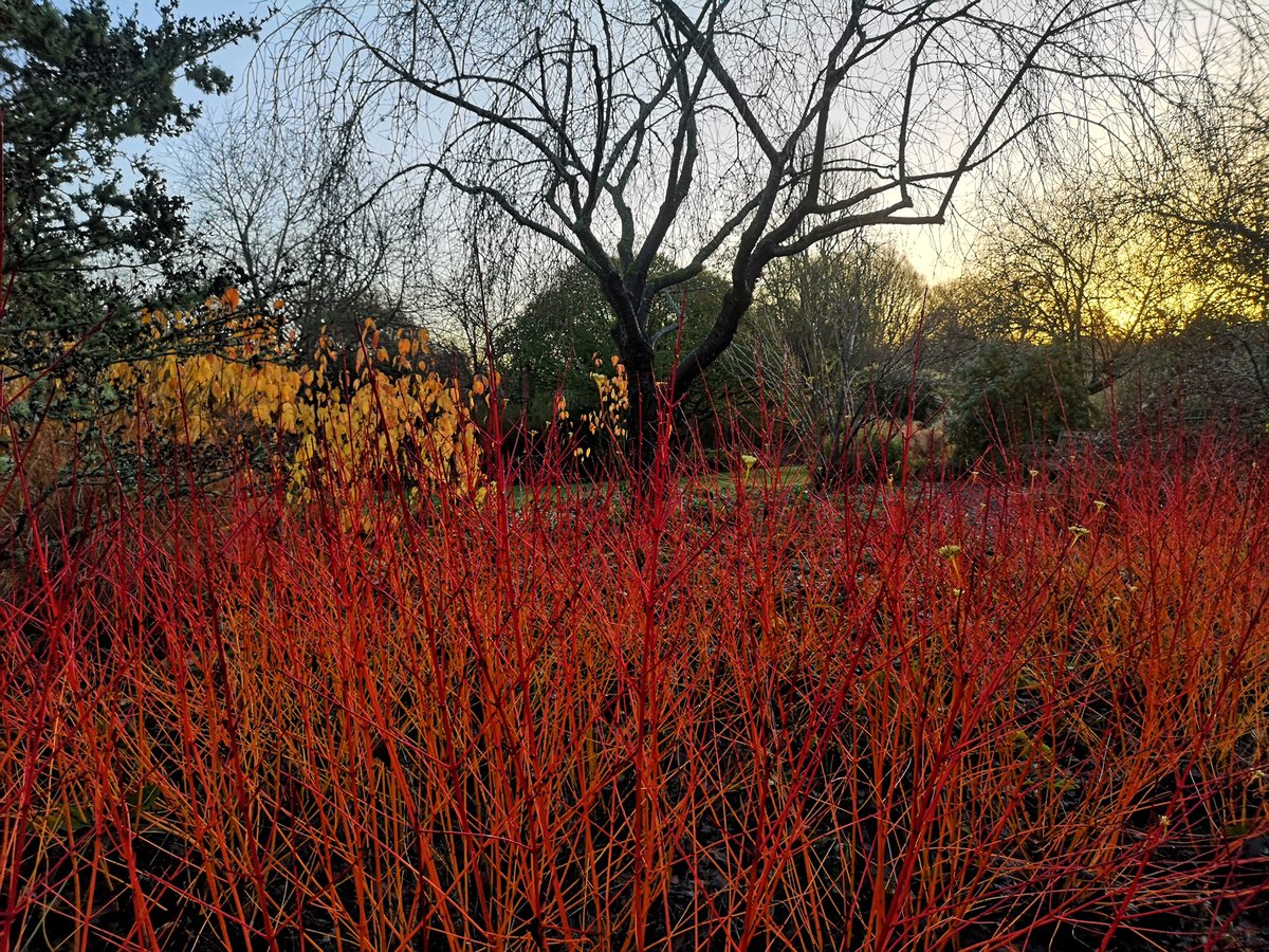 Did you know that <a href="/HillierGardens/">Hillier Gardens</a> have planted over 200 new trees this year?😱🌳

Based in Romsey they have a Winter garden, Hill Top Adventures for the kids, swings, and stunning gardens to see!

Plan some future days out and check out their website:
hants.gov.uk/thingstodo/hil…