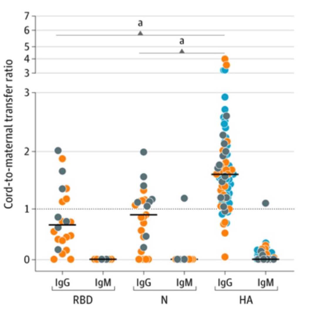 It's been so exciting to see all the discussion about the  @JAMANetworkOpen paper about  #SARS-CoV-2 in pregnancy. maternal viral load, vert transmission, placenta infxn, and plac antibody passage... a tweetorial with my opinions re key findings (thread)!  https://ja.ma/34SZjkd&nbsp;