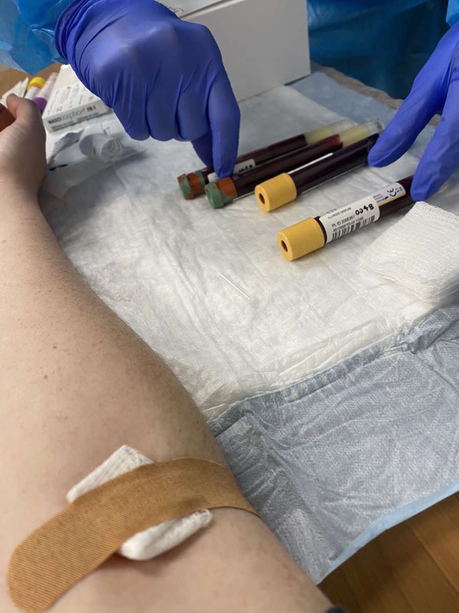 then BLOOD TESTS. these are going to a different place that monitors for antibodies. the nurse told me i had good veins and asked if she could use the bigger needle cause it would be quicker but that fucker was very painful and i regret saying yes, won’t do that again. 4 tubes!