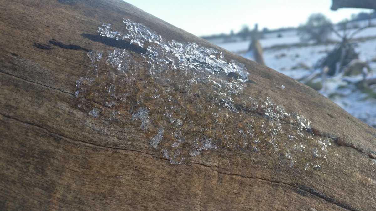 jennycapondraws's tweet photo. Photographing frozen things seems to be even more addictive than photographing not frozen things. It is possible my family are going to disown me on a frozen hill this week. This is Cramond. I have more❄️ #texturehuntergather #refocus #butnottoomuch #mentalheath https://t.co/KjZ5RjWTxP