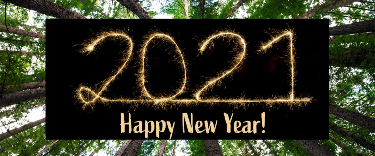 Donate Now Before We Say Goodbye to 2020 conta.cc/3abIBjQ
