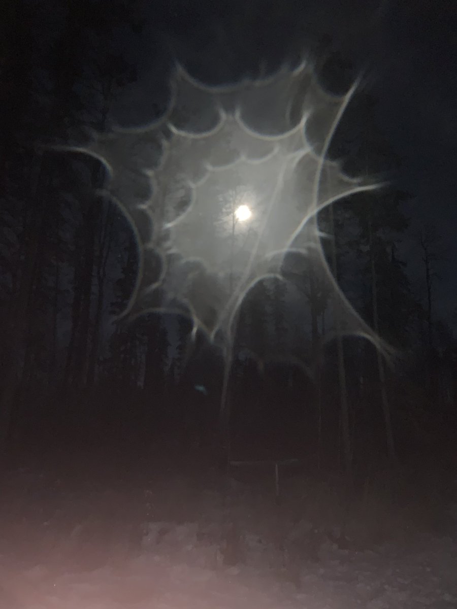 orangelid's tweet photo. @TifanieB @FMPSD I was over on Lynx and Deer trail putting in some long distance training, 27km👍 The moon was so bright, I just turned my lamp off. Here’s an interesting picture I took of the moon, guess there was mist on my lense🤨 #KeepOnSkiing https://t.co/tXMZJMa70a