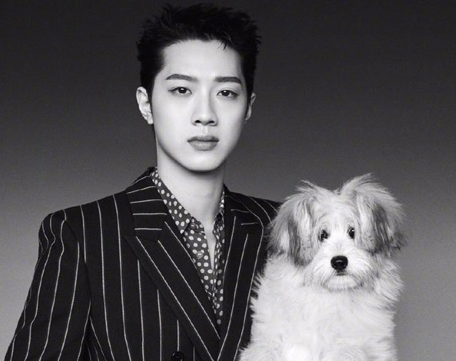 onlylaikuanlin's tweet photo. ในที่สุดควานลินก็เป���ดตัวลูกๆครบทั้ง4คนแล้ว 🐶🐱🐶🐶✨

พี่คนโต ไล่ผี (สุนัขพันธุ์ปอม)
พี่คนรอง หลานเหมย (แมวพันธุ์ Russian blue)
น้องคนรอง ไล่ฉวง
น้องคนเร้ก ไล่จ้าง (สุนัขจร) 

#LAIKUANLIN https://t.co/spzr4u99B7