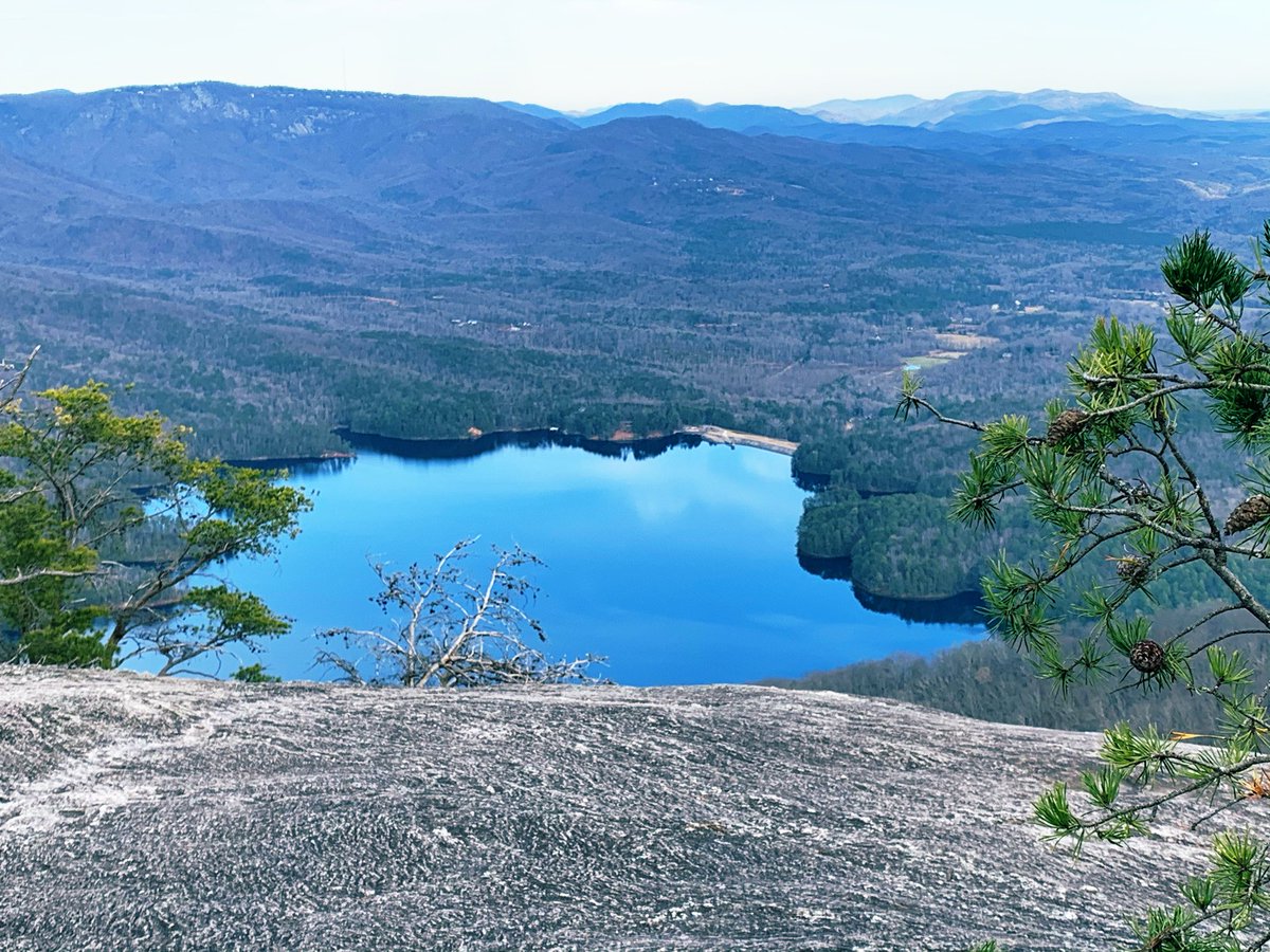 Tim Huggins tweet media