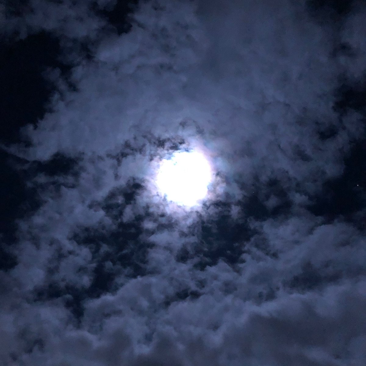 abena_tv's tweet photo. 165日走90日目 月夜を走るのは気持ちが良い✨お腹の調子も悪くならずに無事でした(クローン病治ったか🤔←治らない)ここのところ毎日走れてて地味に偉いな←自分で褒めて伸ばす特殊技術👍
#fieldcast #tokyo2020 #Tokyo2020Plus1 #100daysRUN #五百度マイル #abenaTVの165日で500マイル走る話 https://t.co/pi1y3EEEkp