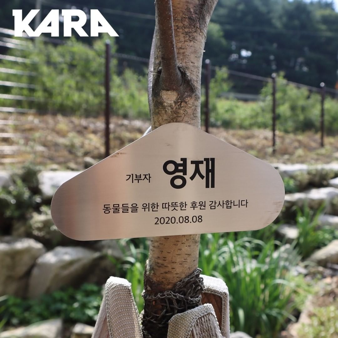 he donated the proceeds from arsxcoco collaboration to kara center for rescued dogs