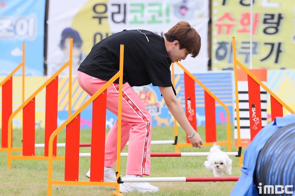 youngjae and coco participated in mbc idol star dog agility championships