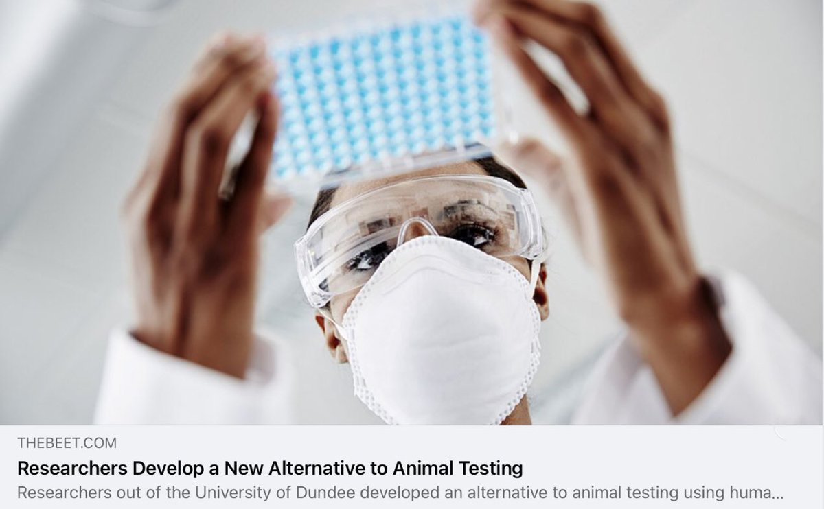 SAENonline's tweet photo. CUTTING-EDGE TECHNOLOGY TO SAVE ANIMAL LIVES 
This latest research now offers an alternative to the experiments, currently only done on animals, and also provides a tool for skin biology research. https://t.co/m4ICEhVxil #SAENonline #animalfreetests #alternative https://t.co/Vd31qIkGjo