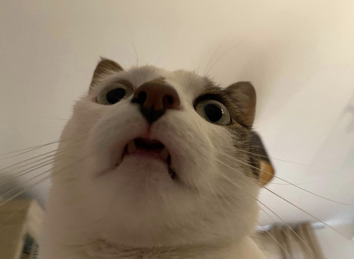 Quand il prend une vent devant toi mais qu’il report pour t’accuser