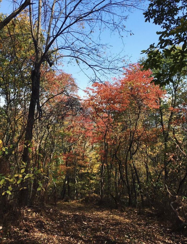 Mobilize Frederick tweet media