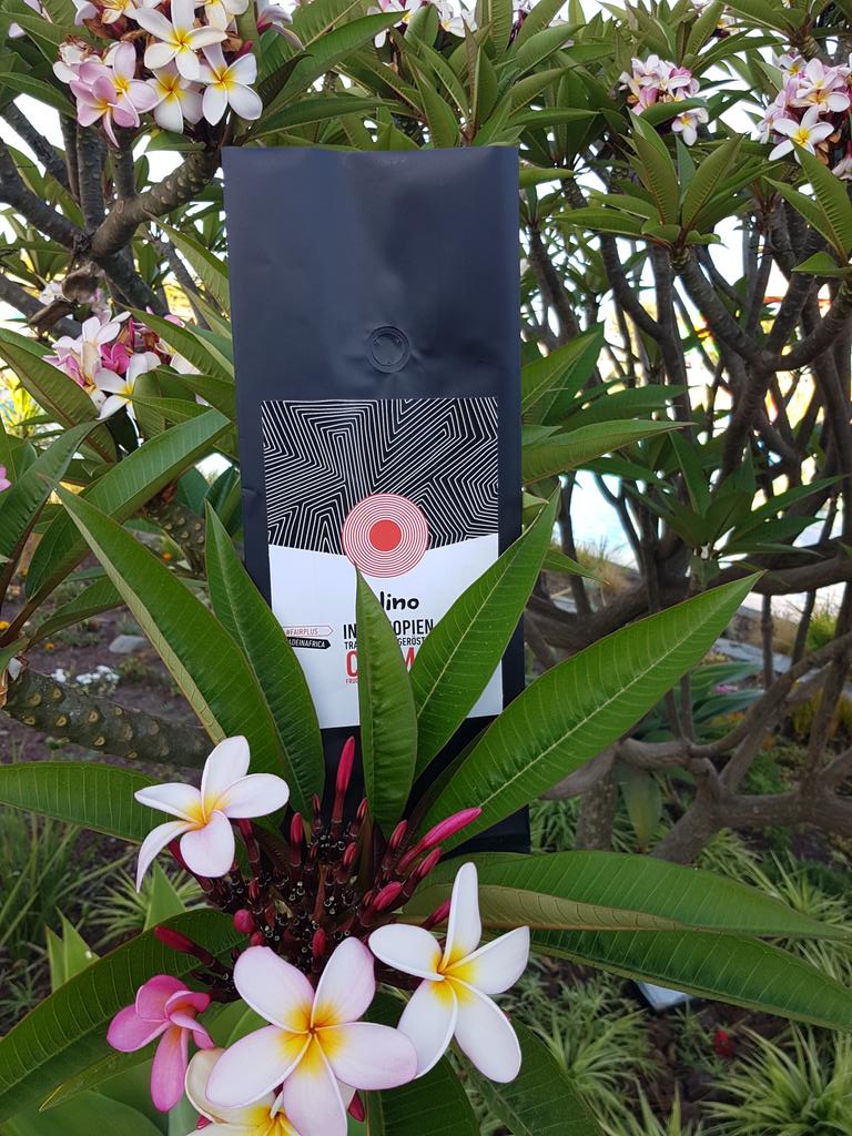 SolinoCoffee's tweet photo. https://t.co/IpyIrvkNYq https://t.co/ORP8qEPyw7