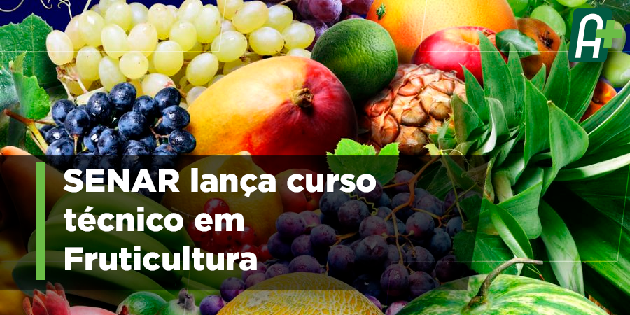 agromaistv's tweet photo. O SENAR lançou o curso técnico em Fruticultura, gratuito e a distância. O curso terá duração de dois anos e meio e os candidatos devem ter concluído o ensino médio. As vagas prioritárias serão destinadas ao público do meio rural. 

#AgroMais https://t.co/TVdVQuqNGg