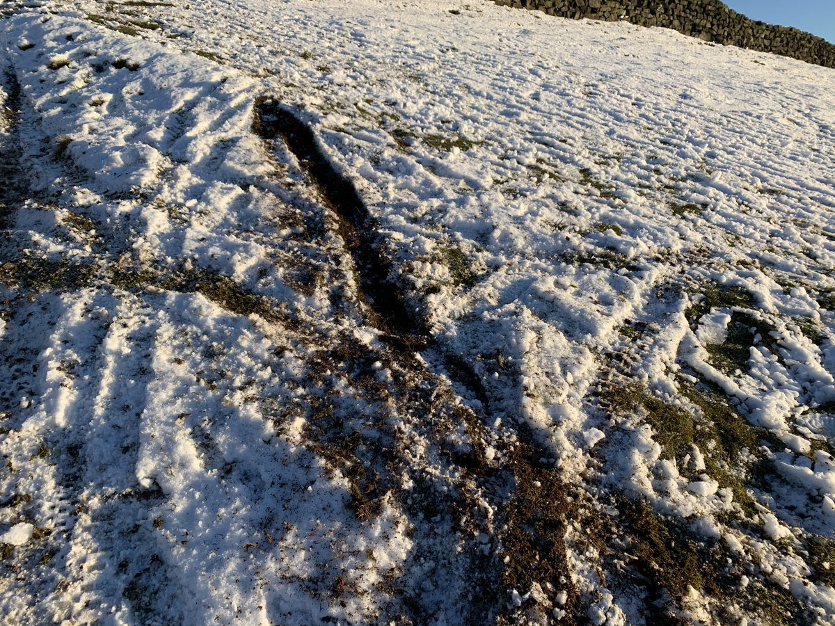 Jessica Harrison tweet media