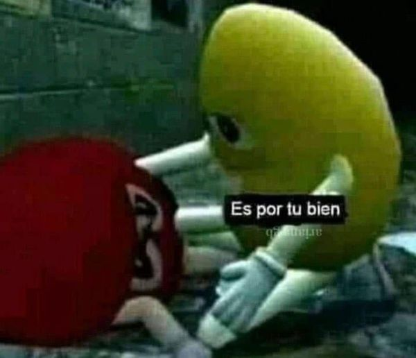 CpyOfOutsidFL's tweet photo. mi familia: ¿Por qué nos obligas a escuchar a Harry Styles?

Yo: https://t.co/3yVCcA4y4M