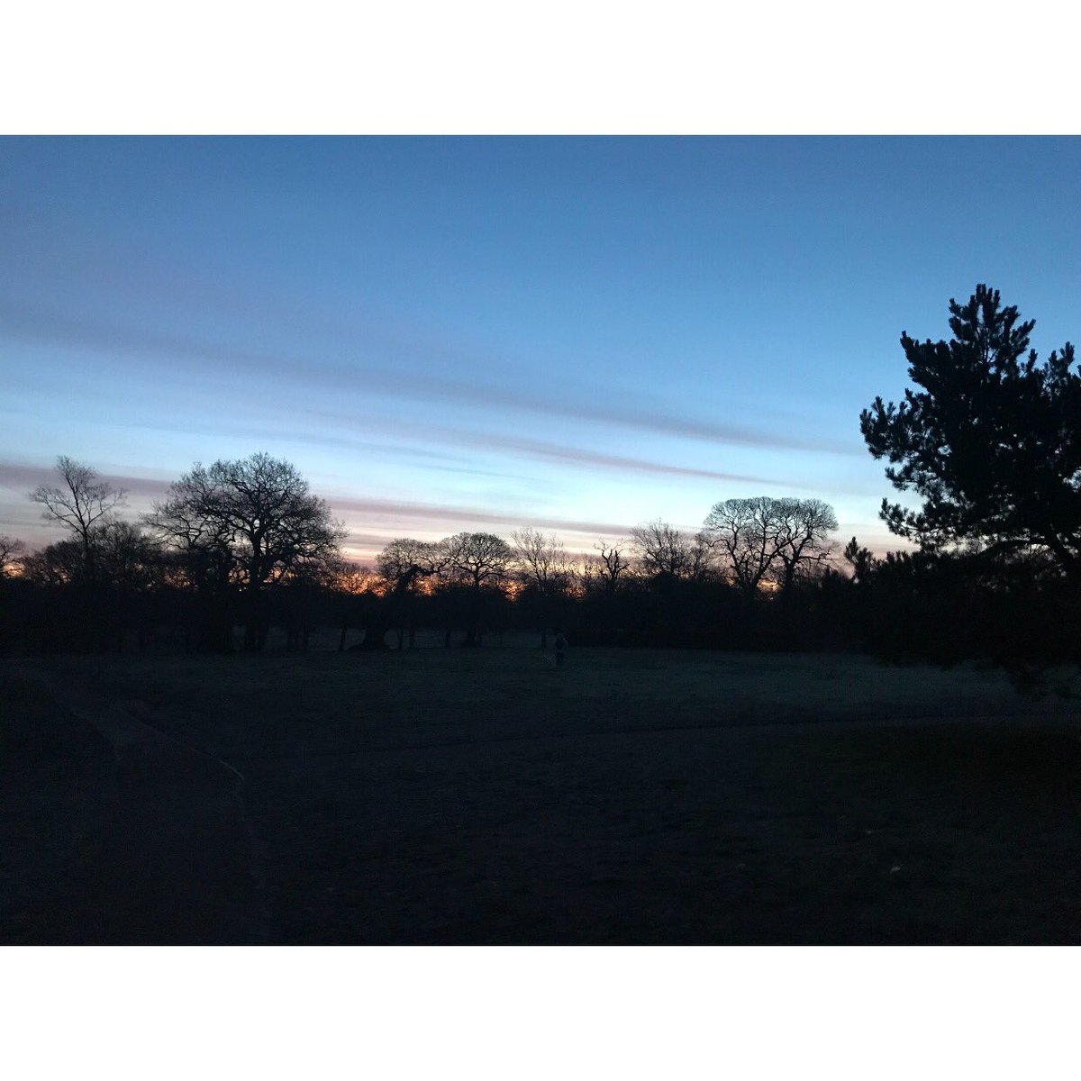GGSparkes's tweet photo. #jogbeforework #greenwichpark #blackheath #bigmoon π
ππ« https://t.co/g87CaOuVsu