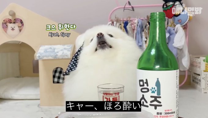 キャー のび太さんのフォトンエッジ という語句をtlで見て思い描いたものgif キャー のび太さんのフォトンエッジ という語句をtlで見て思い描いたものgif