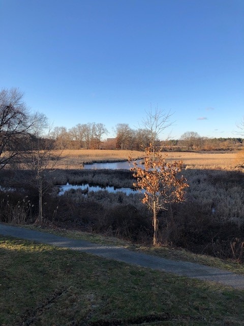 marketstapts's tweet photo. Our meadow, the last Saturday of 2020.....A cold, but beautiful day. https://t.co/FQTnNd0YlW