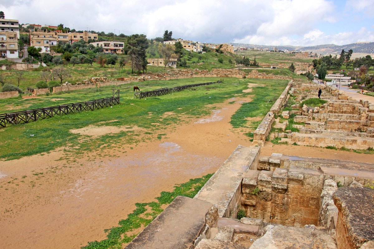 5/5) "..So during the last few days in Rome, which other men have wasted on these most vacant of pursuits, I have spent my time quietly and pleasantly on literary work."(Pliny the Younger, Letters, 9.6 - written around 100 AD) #roman  #history  #sport  #racing  #spectacles