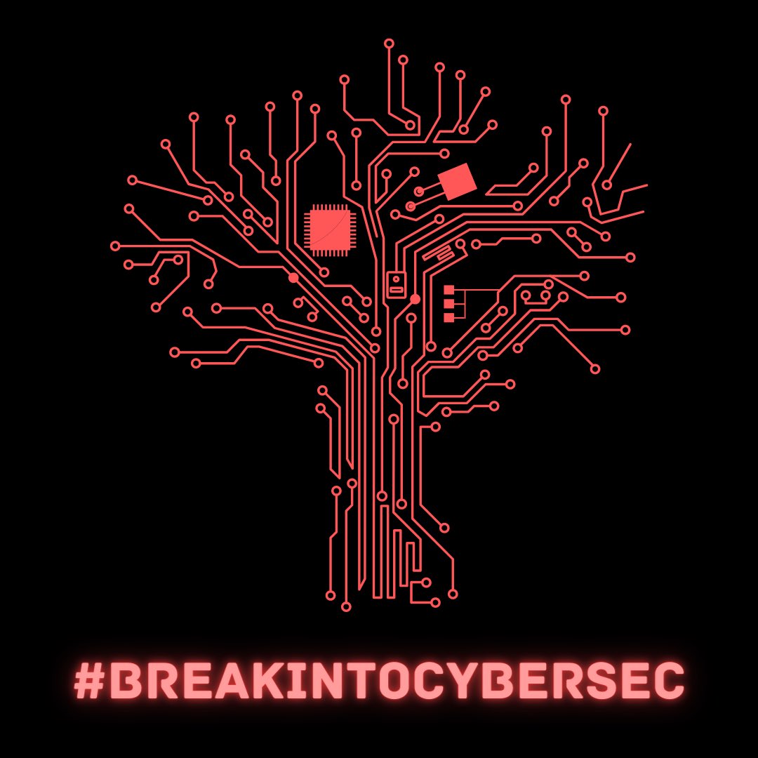 BreakIntoCyber1's tweet image. #BreakIntoCyberSec
Newsletter.BreakIntoCyberSec.com