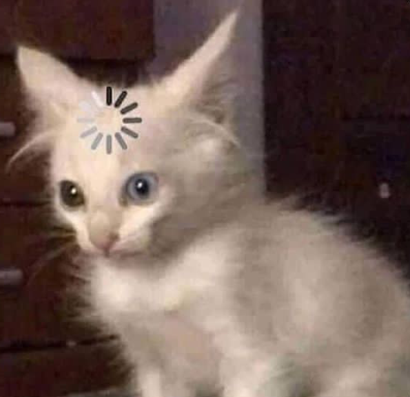 Mutfağa ne almak için geldiğimi düşünüyorum..