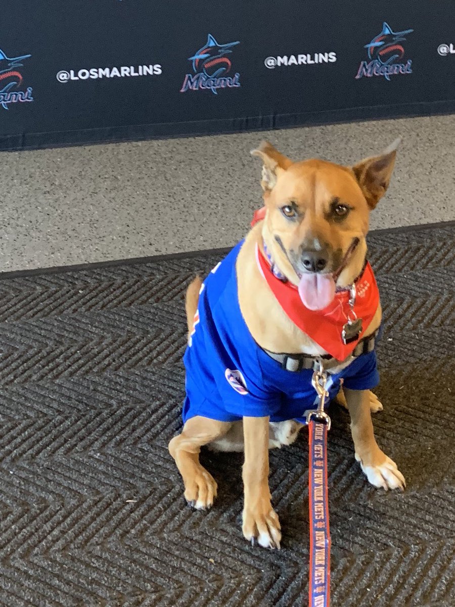 Scout Diesel tweet media