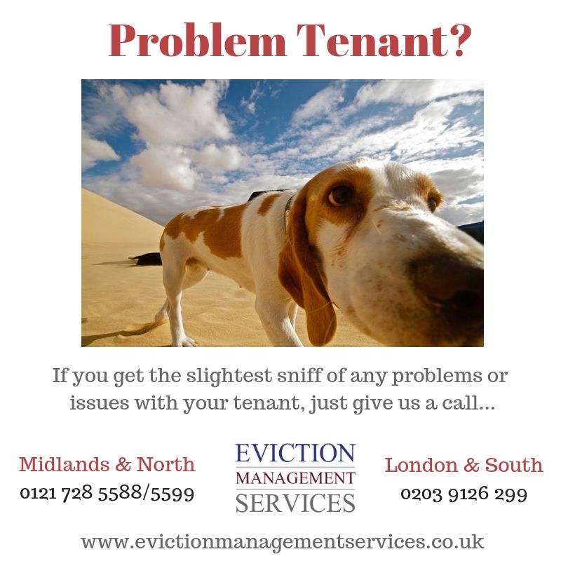 EvictionHelper's tweet image. #problemtenant #tenanteviction #evictatenant #evictionservice