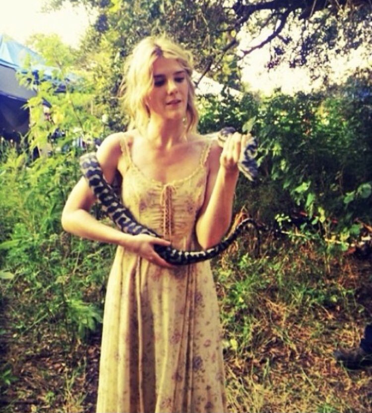 lily rabe being the most adorable human on earth: a thread