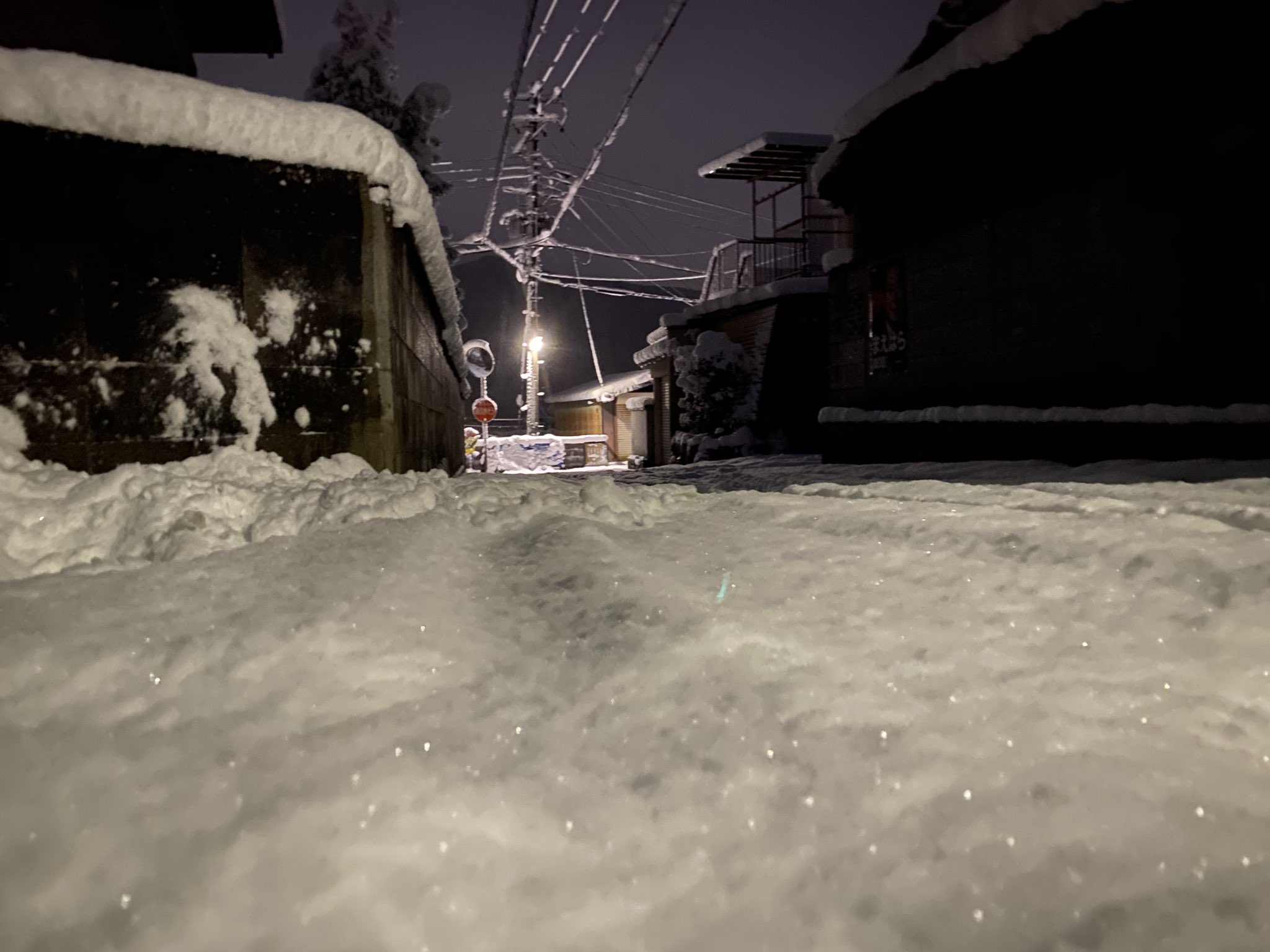 雪ページ•*¨*•.¸♬︎ 京都市雪 - البحث / X