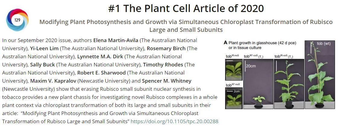 The Plant Cell (@theplantcell) on Twitter photo Congratulations to Elena Martin-Avila, Yi-Leen Lim, et. al. who authored the NO. 1 The Plant Cell ARTICLE FOR THE YEAR 2020 with an Altmetric score of 129! <a href="/E_MartinAvila/">Elena Martin Avila</a> "Modifying Plant Photosynthesis and Growth via Simultaneous Chloroplast Transform... buff.ly/38L9kkg Congratulations to Elena Martin-Avila, Yi-Leen Lim, et. al. who authored the NO. 1 The Plant Cell ARTICLE FOR THE YEAR 2020 with an Altmetric score of 129! <a href="/E_MartinAvila/">Elena Martin Avila</a> "Modifying Plant Photosynthesis and Growth via Simultaneous Chloroplast Transform... buff.ly/38L9kkg