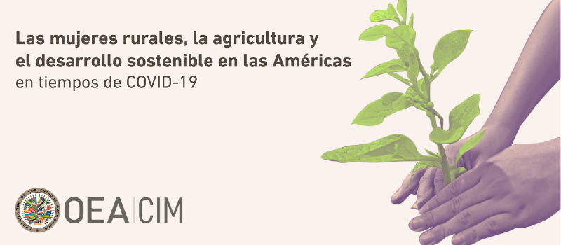 Comisión Interamericana de Mujeres (CIM) tweet media