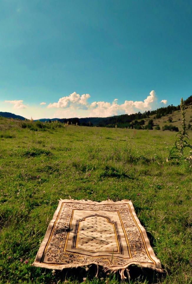 ستبحثون عن الراحة ولن تجدوها إلا بالصلاة
ستبحثون عن الطمأنينة ولن تجدوها إلا في ذكر الله
ستبحثون عن الثقة ولن تجدوها إلا مع الله
ستبحثون عن السعادة ولن تجدوها إلا في حب الله
ستبحثون وتبحثون ولن تجدوا الحياة
إلا في الله وبالله ومع الله💙