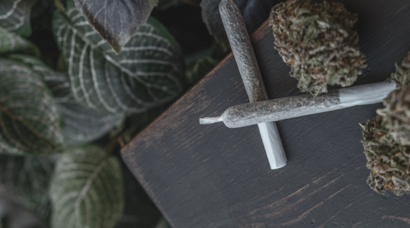 budexpressnow's tweet photo. Did you know that bud can help you fight fatigue?⁠ 💤 
⁠
Learn all about fatigue and bud by👆🏾clicking https://t.co/poIgbMaR9B.⁠
⁠
#BudExpressNow #budnews #insomnia #medicalbud #plantmedicine https://t.co/dda4OoGPE5