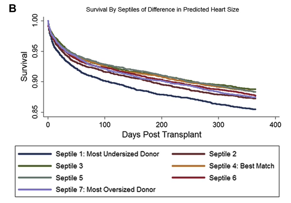 These PHM equations appear to be better at identifying ‘undersizing’ of heart transplants than the old-fashioned methods like weight alone. And we now know the price that recipients pay for undersizing - increased mortality. 7/n. (doi:10.1016/j.jchf.2013.09.005)