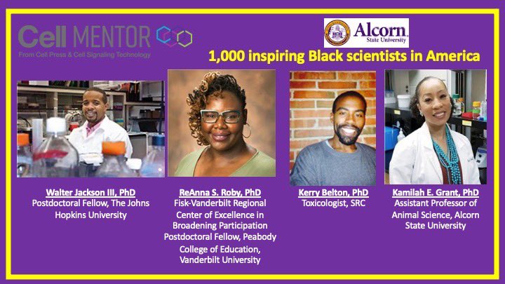 Dr. Melanie McReynolds tweet media