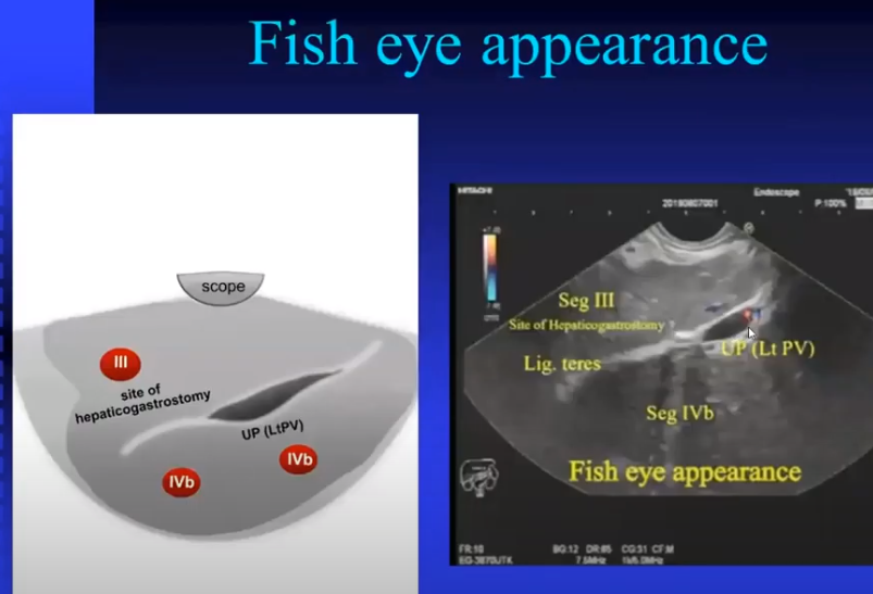 Rajan kanth tweet media