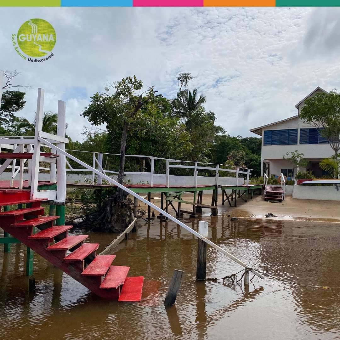 Morning views from Slothisland Nature Resort are something special! Look out for more information on this resort coming soon.

#DiscoverGuyana #visitguyana #Guyana #StayHomeAndRoam #ResiscoverHome #VisitEssequibo #DestinationGuyana