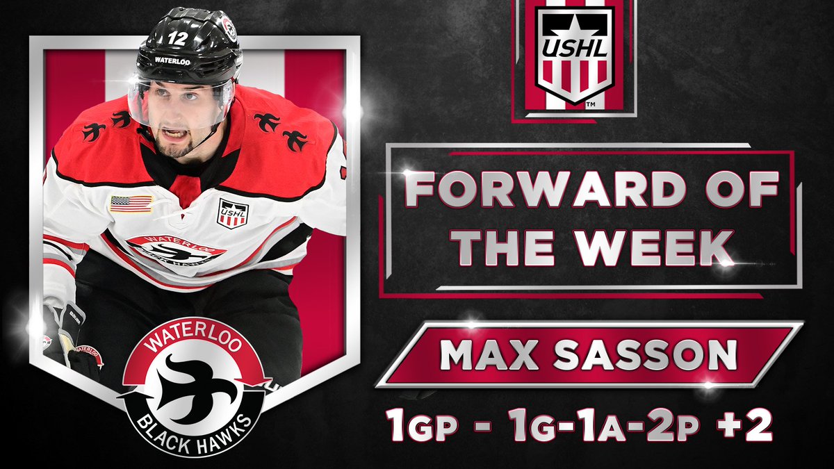 USHL's tweet photo. USHL Players of the Week (Week 8): 

F: @Sassonboy123 (@BlckHawksHockey | @WMUHockey)
D: @dantefantauzzi (@sfstampede)
G: Noah Grannan (Sioux Falls | @BadgerMHockey)

https://t.co/Y80GIQVjsY https://t.co/S0yEWjCSTb