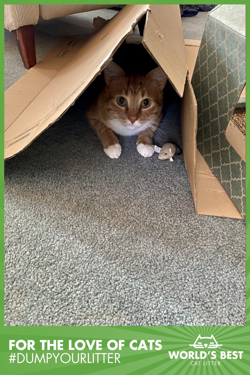 He’s a funny rascal! #DumpYourLitter