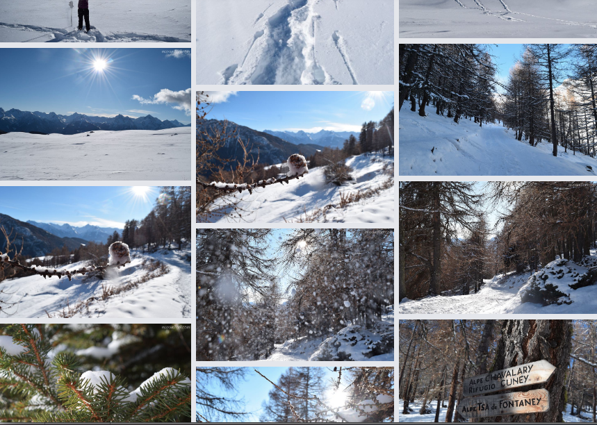 MapandFork's tweet image. ❄️ Bellissima #Ciaspolata nel vallone di Saint Barthélemy a monte di Nus: destinazione l’alpeggio della Tsa di Fontaney (m 2307) ❄️  #Neve 
❄️Superbe balade en raquettes de #neige dans la vallée de St Barthélemy (Vallée d'Aoste, Italie) jusqu'à l'alpage de Tsa Fontaney(2307 mt)❄️