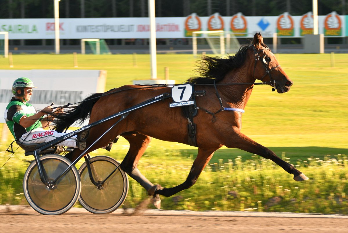 Raviliiga Jukurien Tingaling on myyty, tamman hinnaksi tuli 11 050 euroa. Hevosen osti Jaakko Santala, joka osti Tingalingin kimpalle. #ravit #raviliiga
