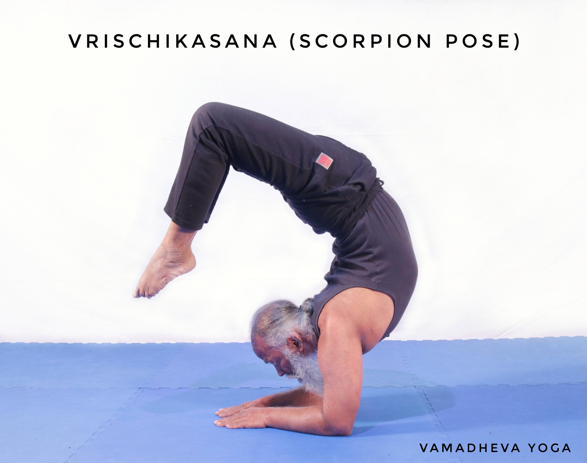 Indian Yoga Teacher Holds Scorpion Pose For 29 Minutes, Creates World Record