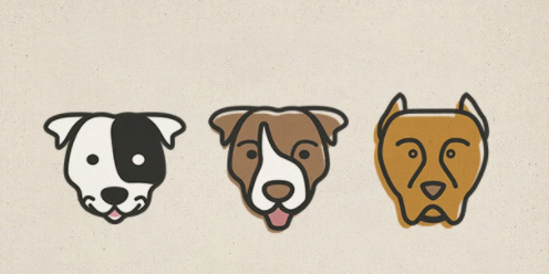 Peter Buck tweet media