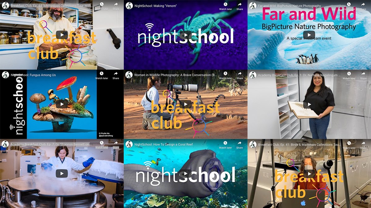 BEST of 2020! 75+ episodes &amp; 9+ months later, a planet-sized thanks to every single human who watched (or appeared on) one of our livestreams. To celebrate, a recap of 10 viewer favorites: bit.ly/3o2Ye0K #MuseumAtHome