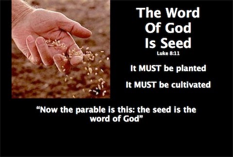 KNB or KNH is also the Ankh, symbolized with a rope, like the floor Mat in BTTF. The Ankh must be the seed plus the oil, it's the food of the Gods. You eat the seed for 200 days and you'll find the Holy One, Po, Gods first creation.