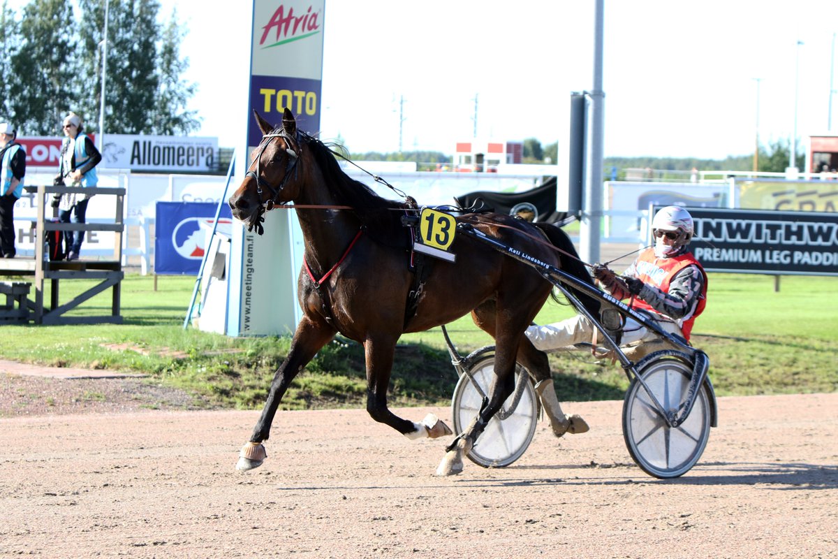 Raviliiga Sportin Beast Mode on myyty, sen hinnaksi tuli 7050 euroa. Petri Lahti-Luopa osti ruunan. #ravit #raviliiga