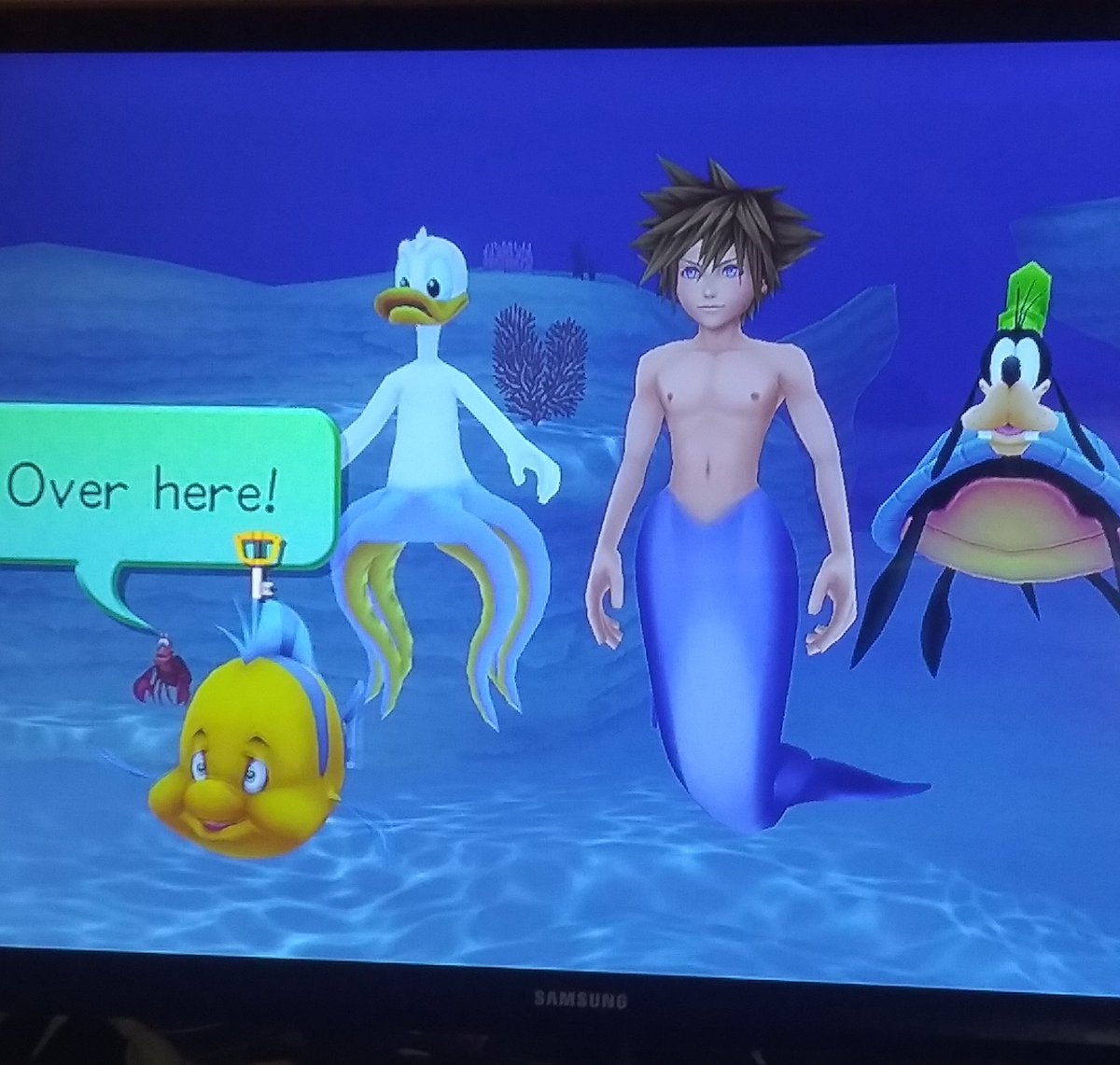 FishtailJessi's tweet image. My plans for today.