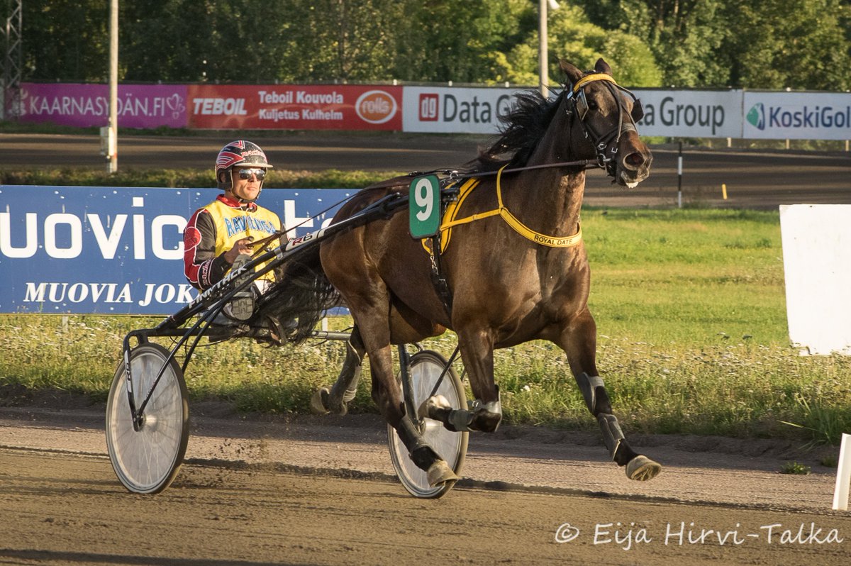 Raviliiga SaiPan Royal Date on myyty. Tamman hinnaksi tuli 11 300 euroa. Hevosen osti Tuulia Parkkonen. 👏 #ravit #raviliiga