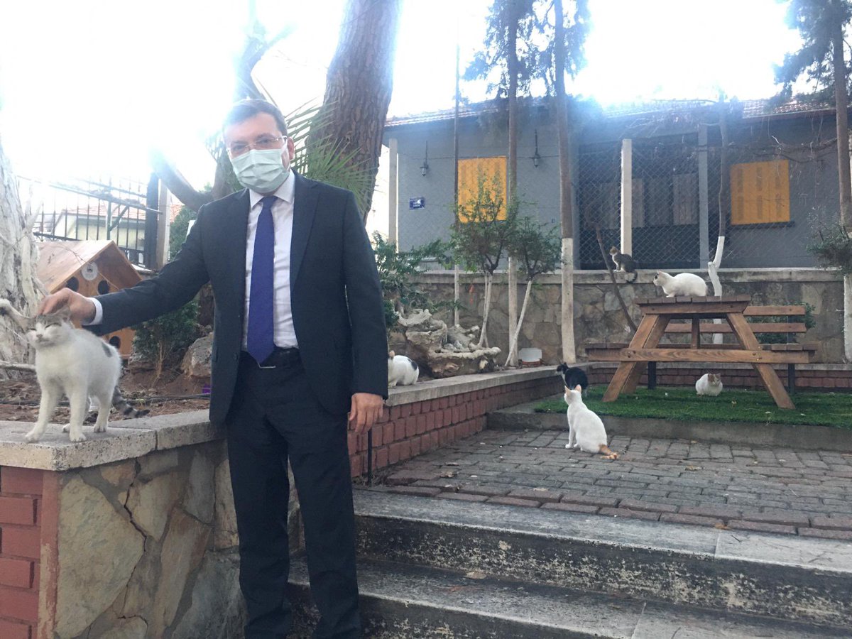 Valilik bahçemizin sevimli ve şeker sakinleri.